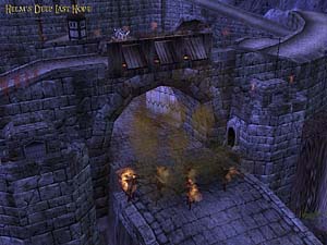 Helm's Deep Gate Protector Image 5